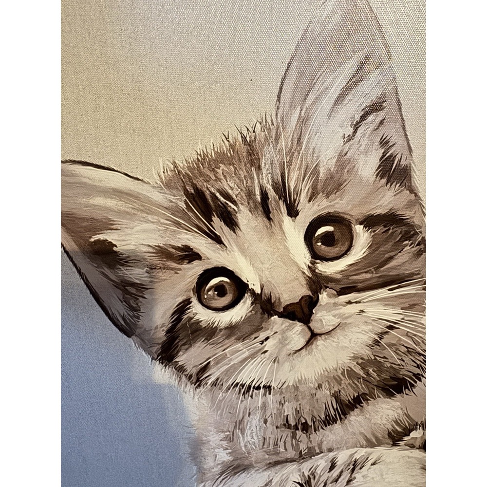 Adorable Large Kitten Cat Print Canvas Art Decor Home Fun Kitty Feline Tabby Art